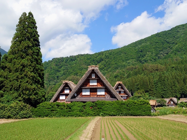 道の駅おばあちゃん市・山岡｜巨大水車と名物グルメを楽しむ