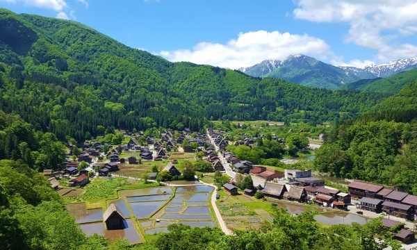 白川郷の2大展望台を比較！荻町城跡と天守閣のおすすめポイント解説