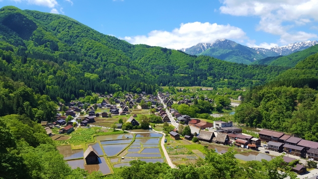 白川郷の2大展望台を比較！荻町城跡と天守閣のおすすめポイント解説